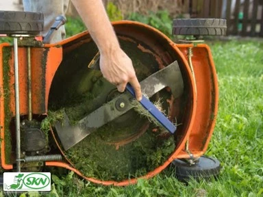 cleaning lawnmower blade+تمیزکردن تیغه چمن زن