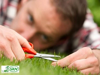 precise grass cutting+ چمن زنی دقیق