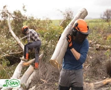 محیط کار چوب بری+ chainsaw working environment