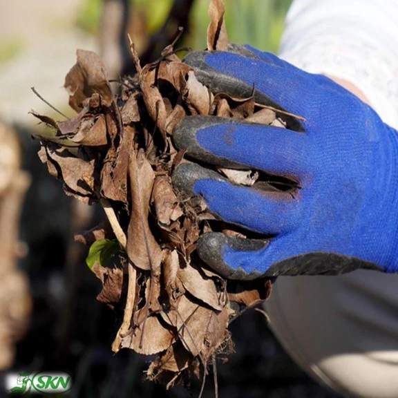 الزام پوشیدن دستکش بادوام باغبانی برای جمع کردن برگ ها durable, waterproof garden gloves + دستکش کار با دوام