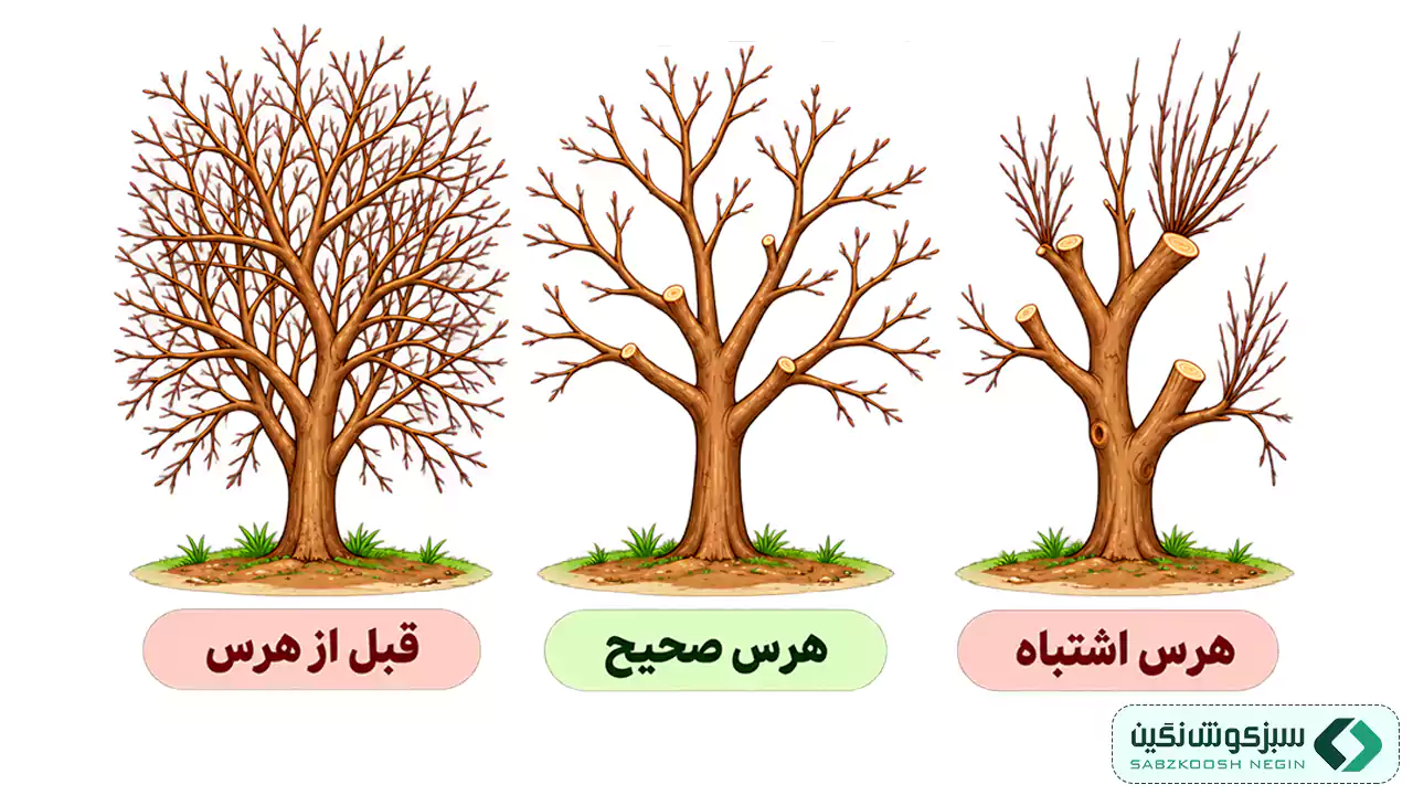 هرس چیست
