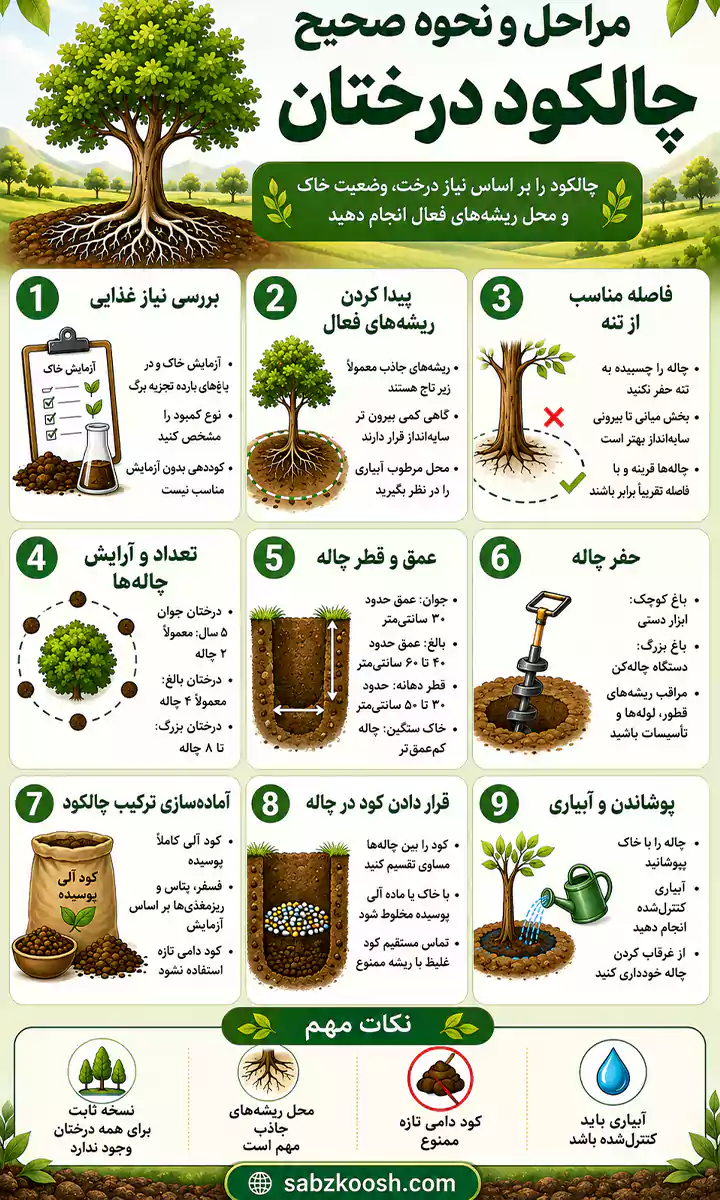 مراحل و نحوه چالکود درختان