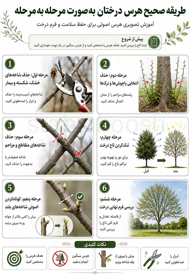 آموزش تصویر به تصویر هرس درختان