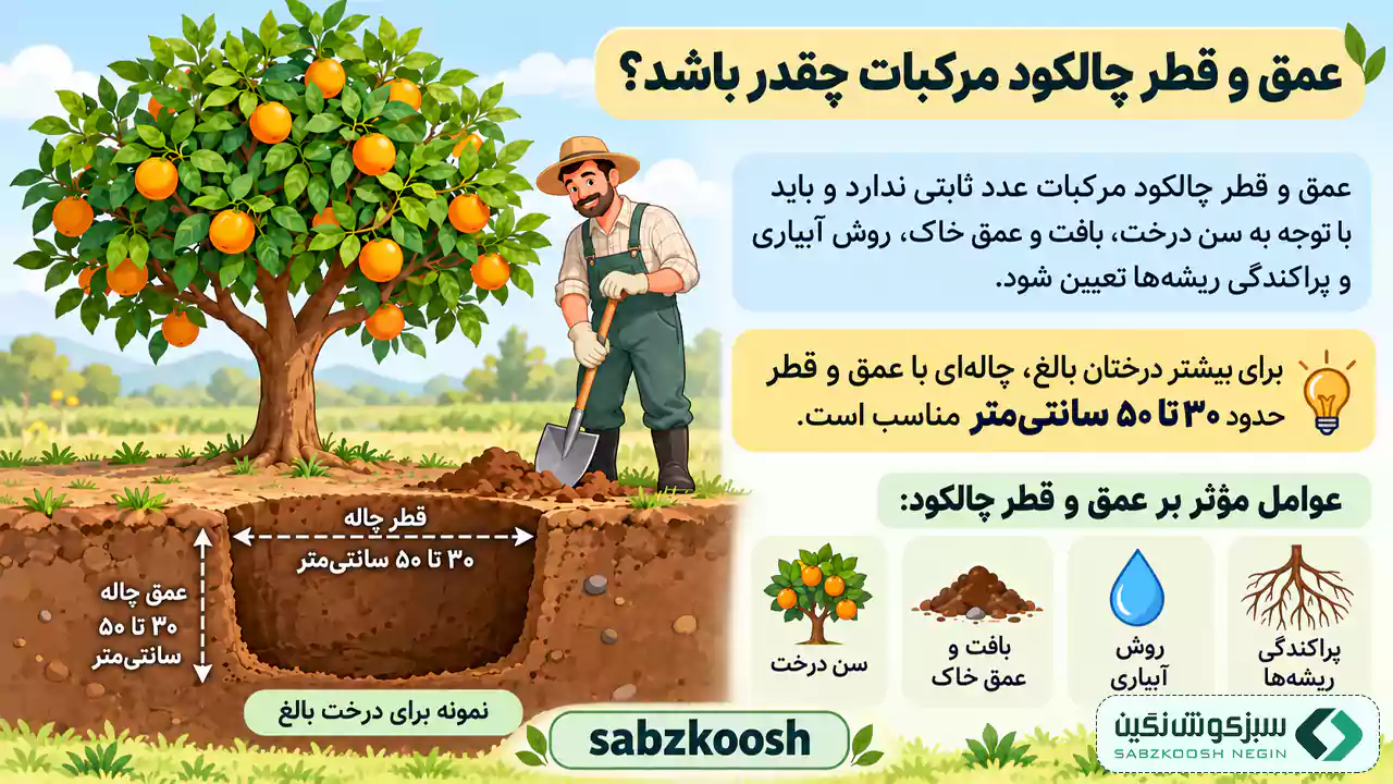 عمق و قطر چالکود مرکبات